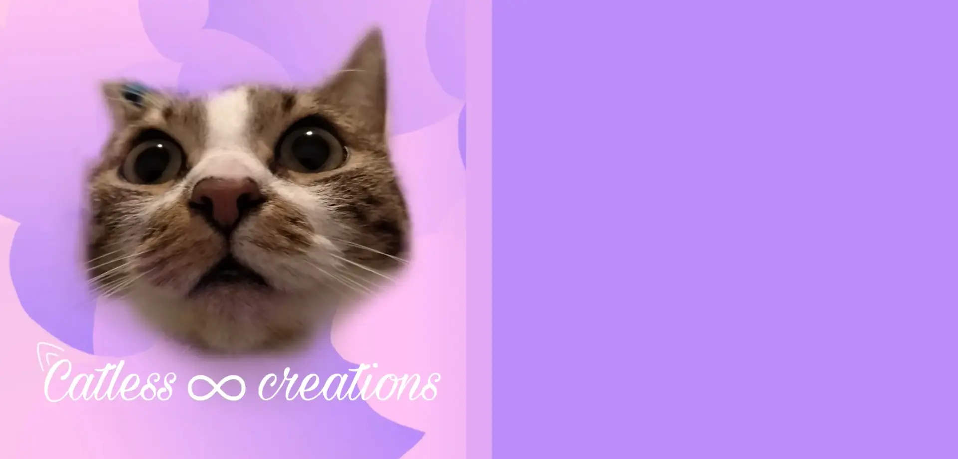 Catless_creation