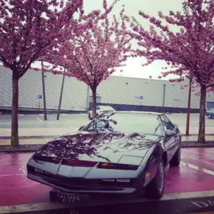Knight Rider Kitt
