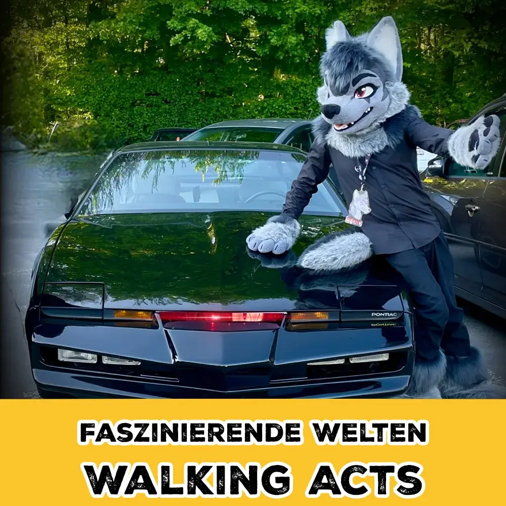 catch-walkingacts